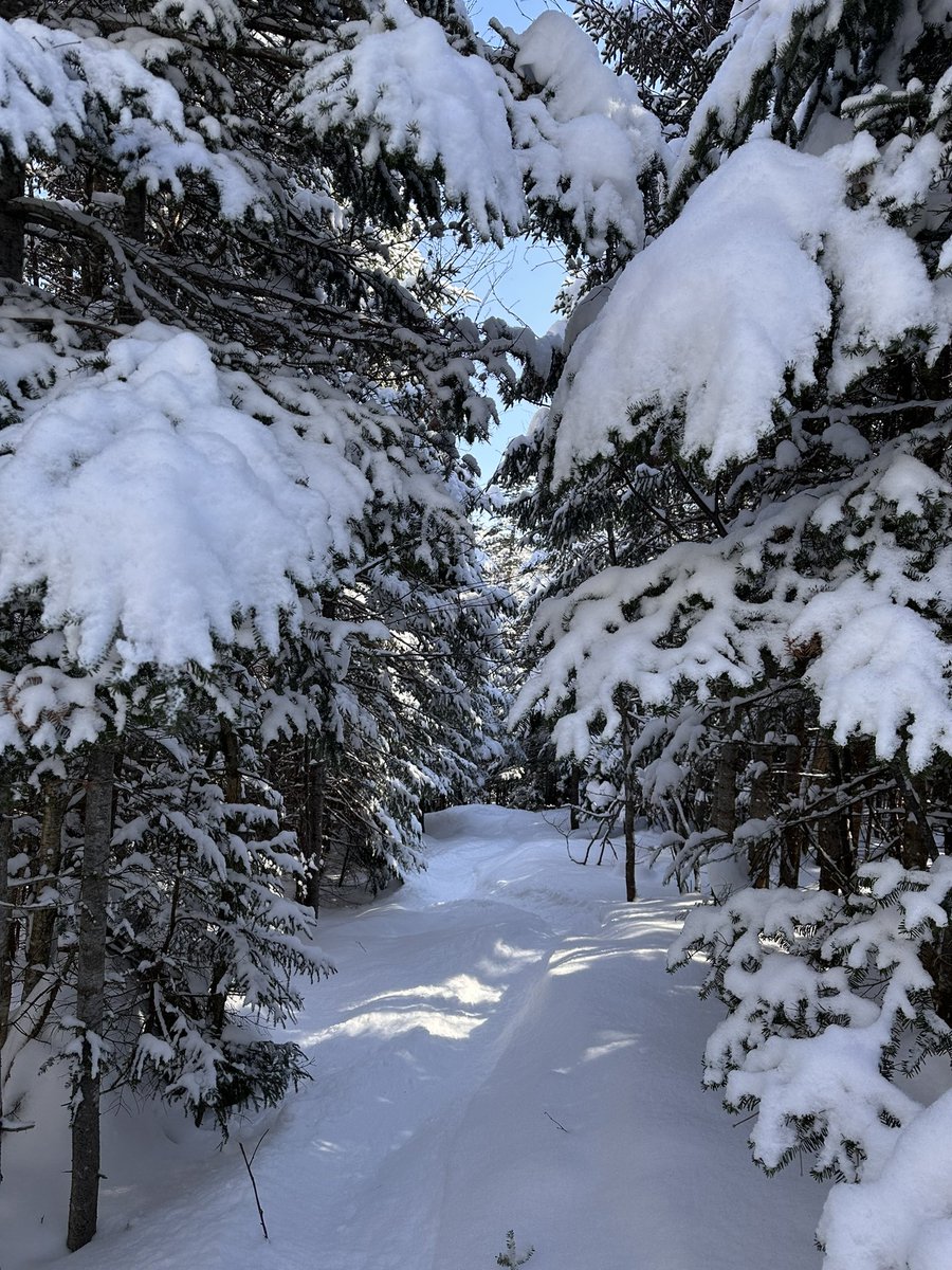Hashtag_Erica's tweet photo. Prime time. @SugarloafMaine https://t.co/SO9U4jgOCP