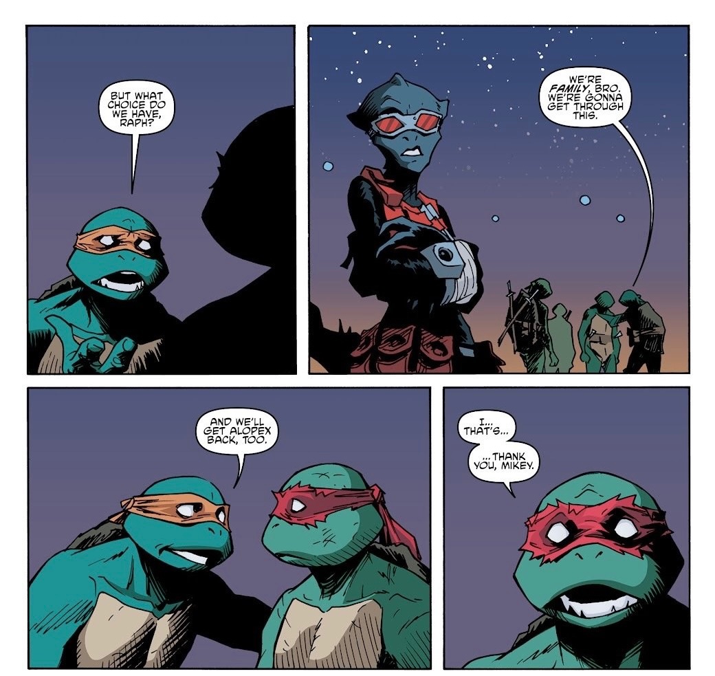 one of my favorite moments in the IDW run the full scene is just amazing