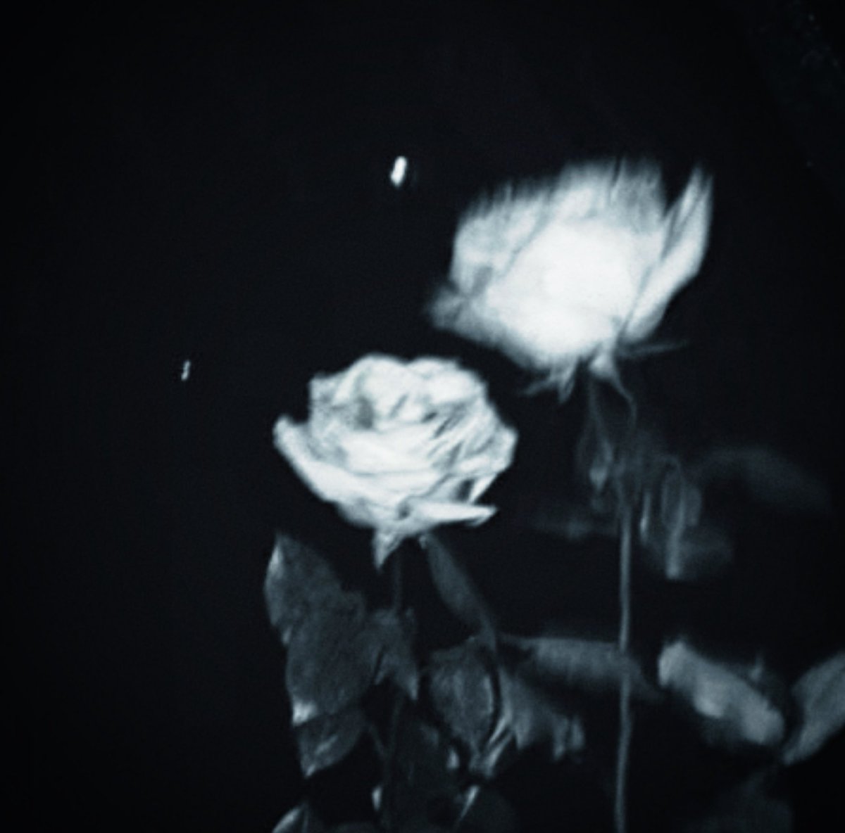 𑣲ᅠtₕₑ wᵢtcₕy 𝓰ⲓꞅ𝓵 tweet media