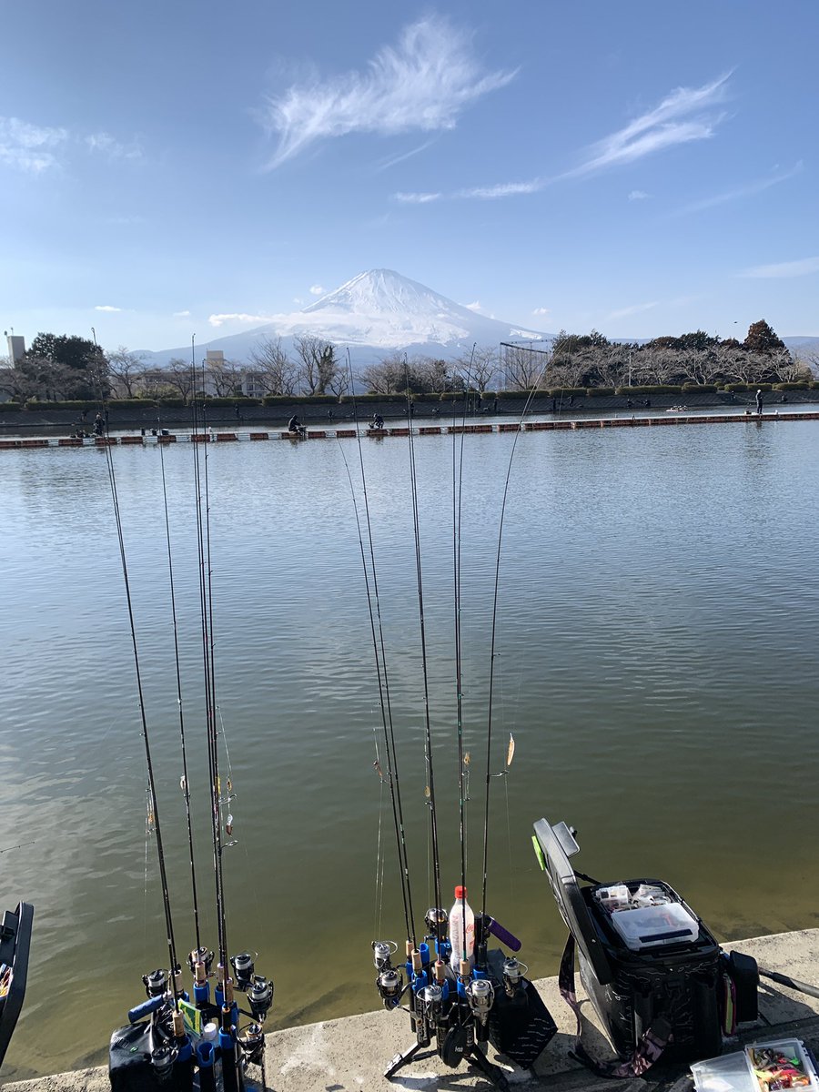 まりも250R/MKW/UNDEADFACTORYモニター tweet media