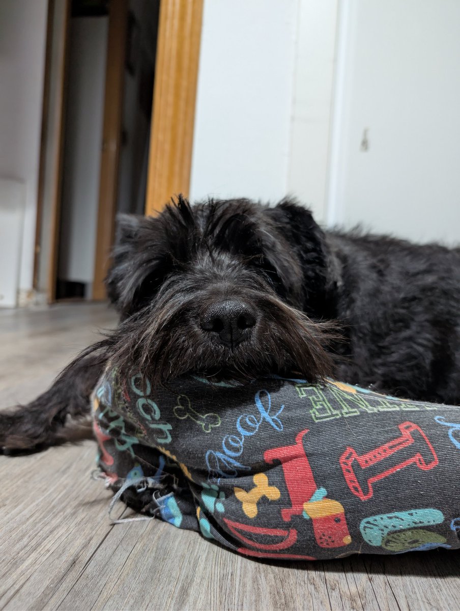 Alguien ha pasado por la peluquería 😍🥰