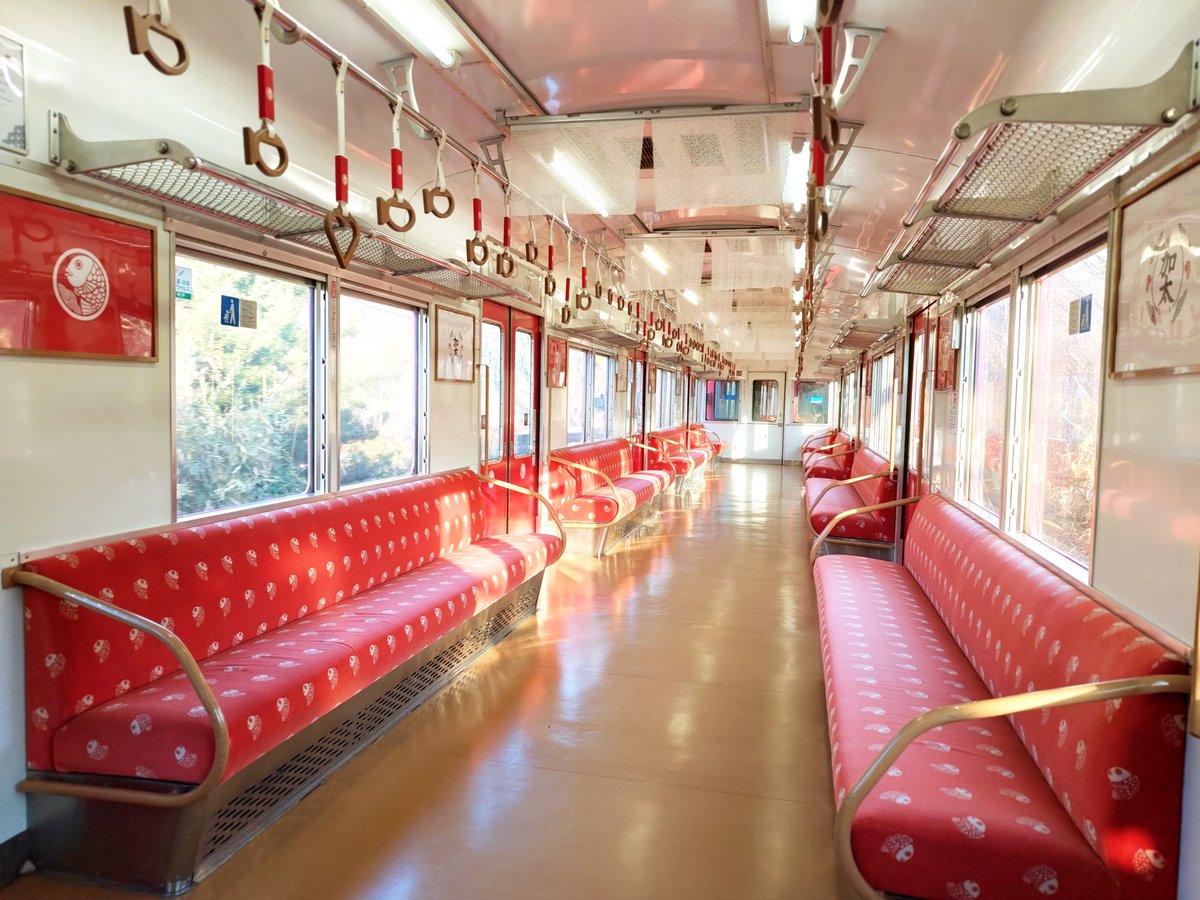 今日は電車でお出かけ🚃 30分に1本しか来ないけど、ラッピング電車が