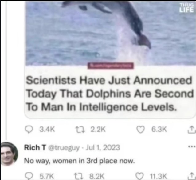 ywomendeservles's tweet image. 