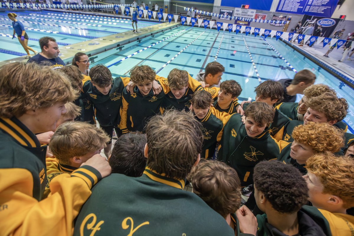 Tiger Swim & Dive tweet media