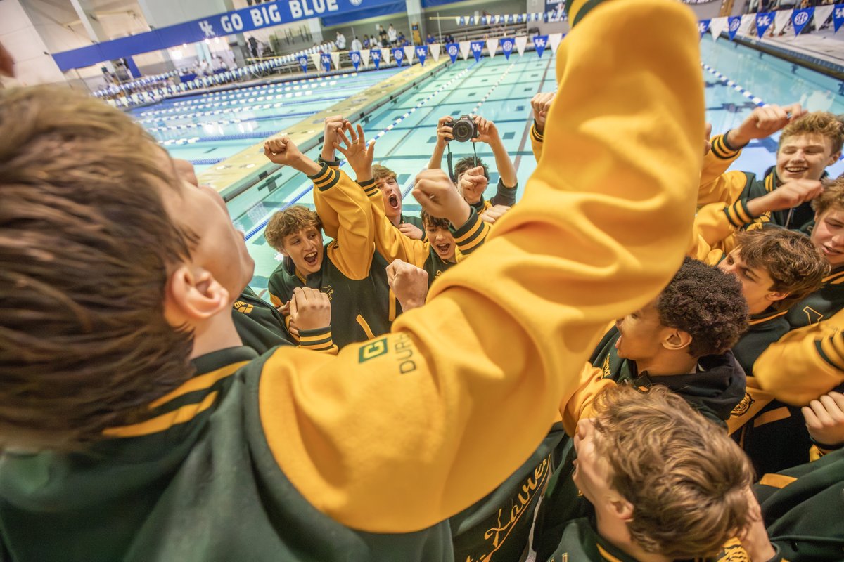 Tiger Swim & Dive tweet media