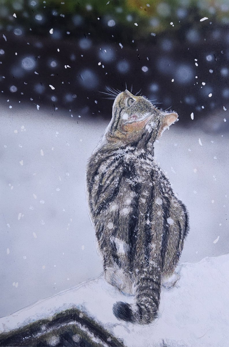 ほんまに色鉛筆で描いてある😳