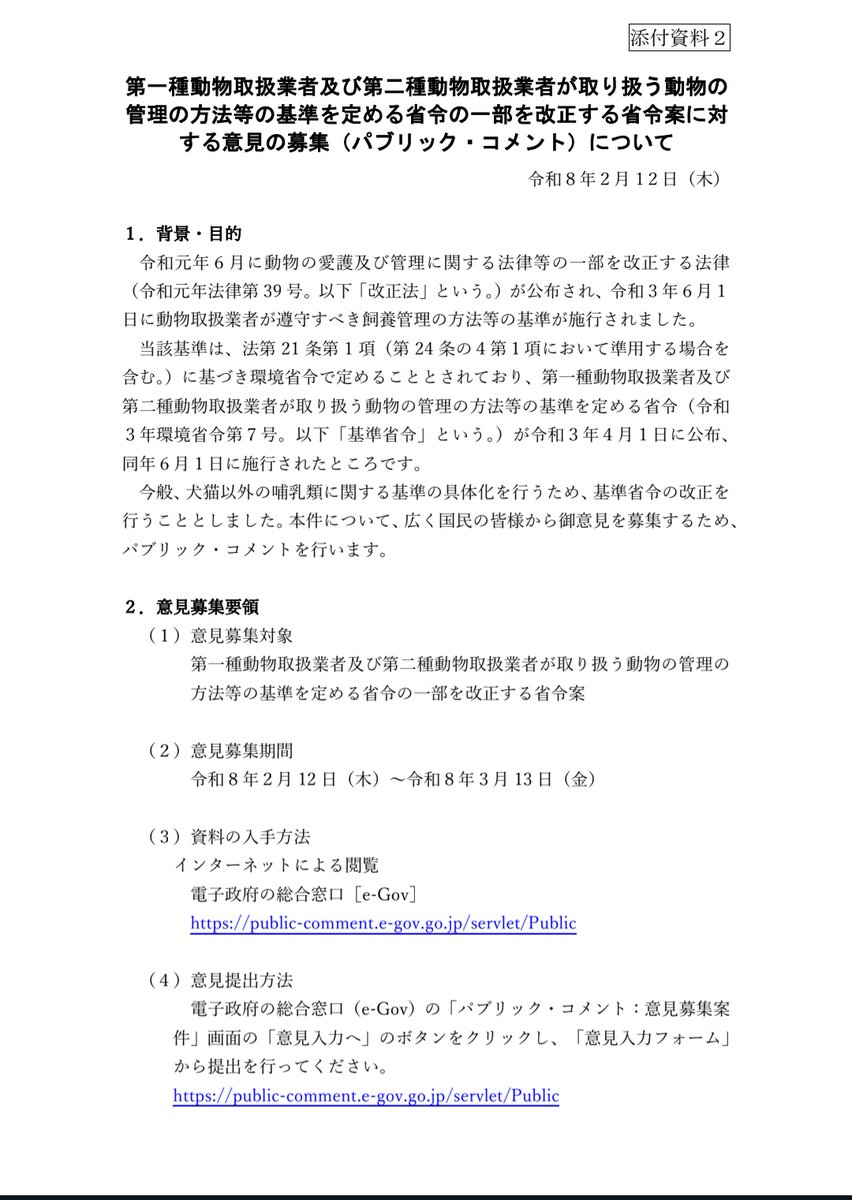 小動物専門店『もふまっち』4/19WAF@群馬 tweet media