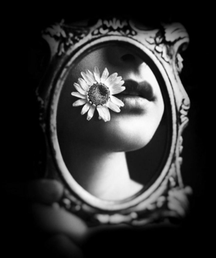 Nuria de Espinosa #BitacoraLiteraria tweet media