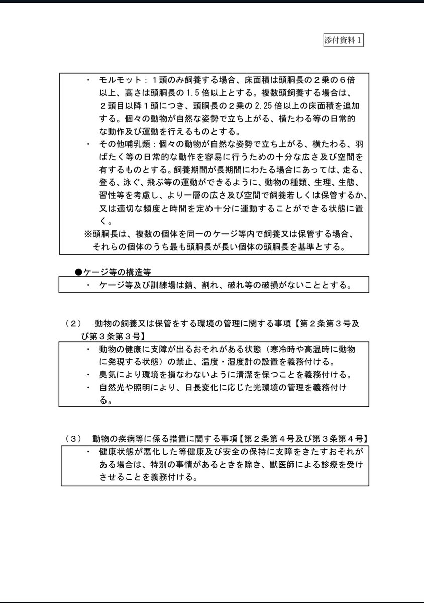 小動物専門店『もふまっち』4/19WAF@群馬 tweet media