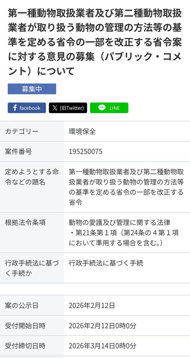 小動物専門店『もふまっち』4/19WAF@群馬 tweet media