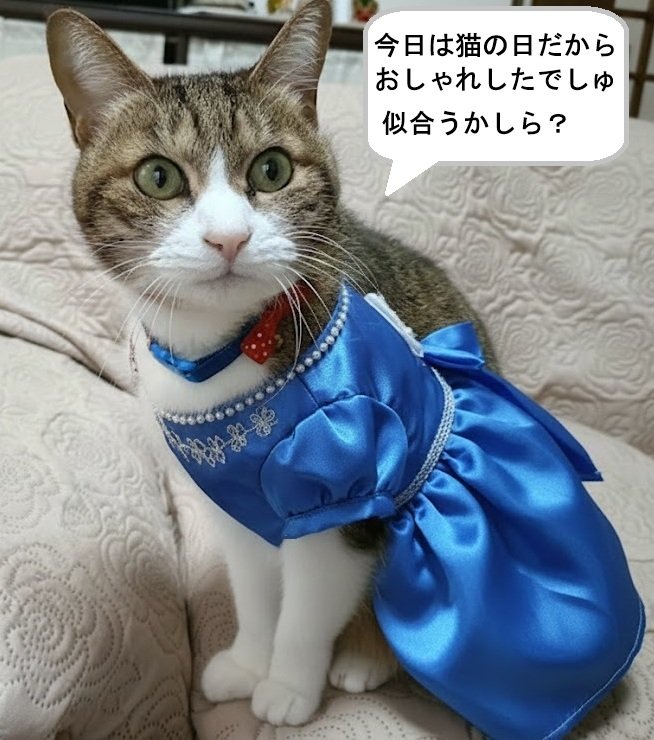 チコちゃんの母 (@ushichikohaha) / Posts / X