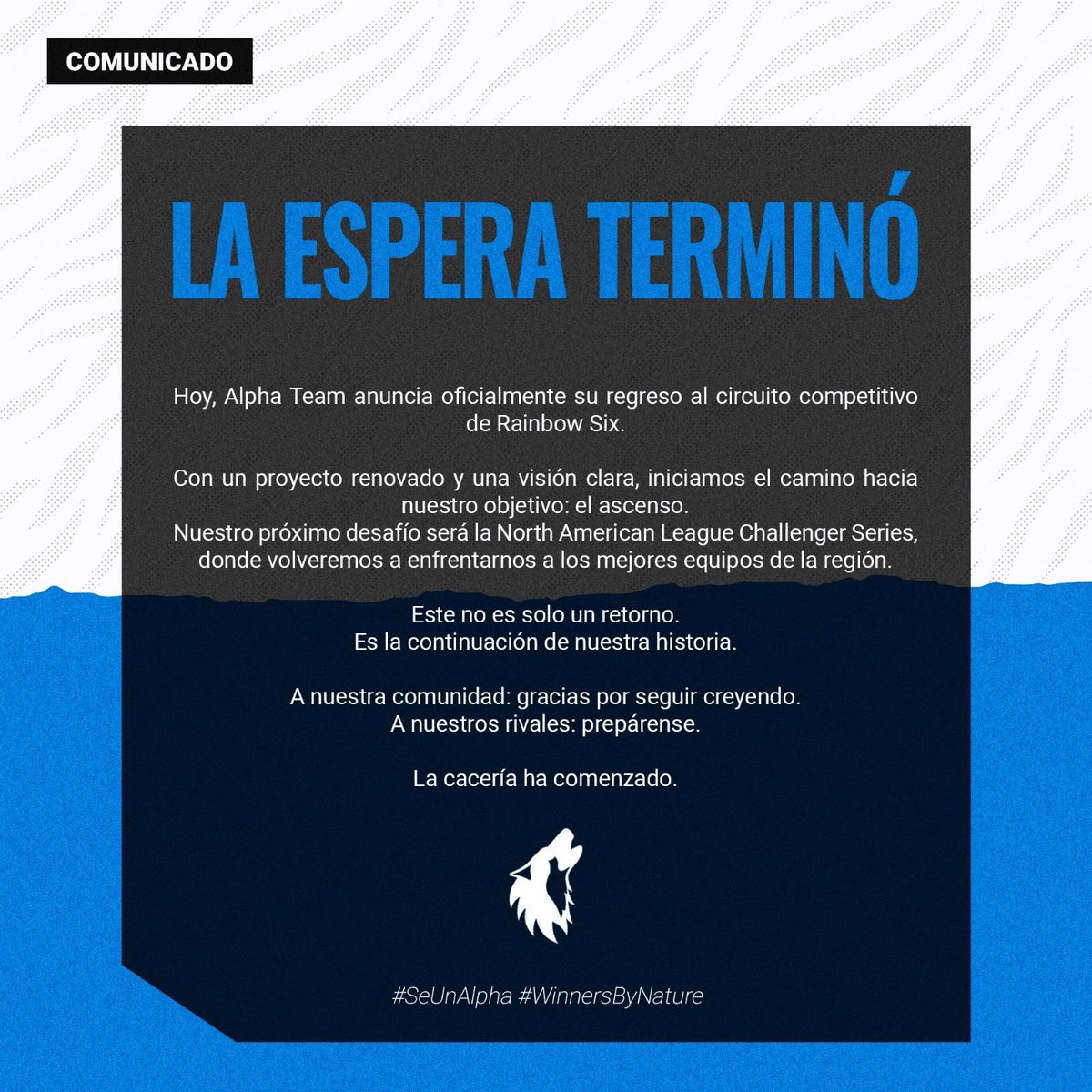 Alpha Team tweet media