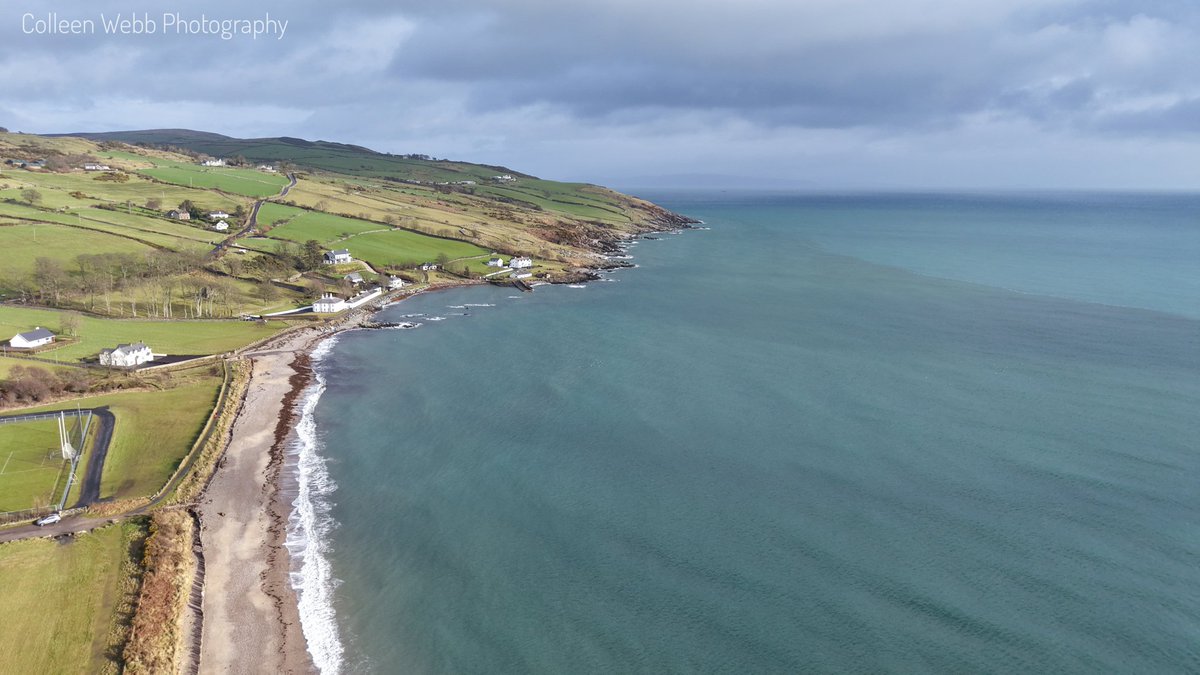 Colleen Webb tweet media