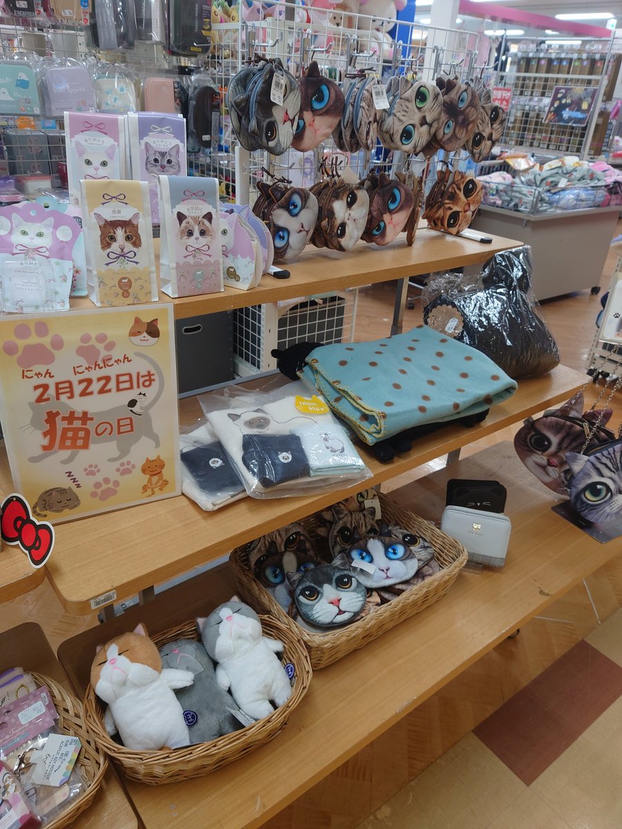 🐱🩷にゃんにゃんにゃん🩷🐱

本日2月22日日は猫の日🐱
2階バラエティコーナーにゃんコグッツ揃ってますよ✨
うー!にゃんにゃん！

#西條　#名寄　#猫の日　#すきなんかじゃにゃい　#好きです