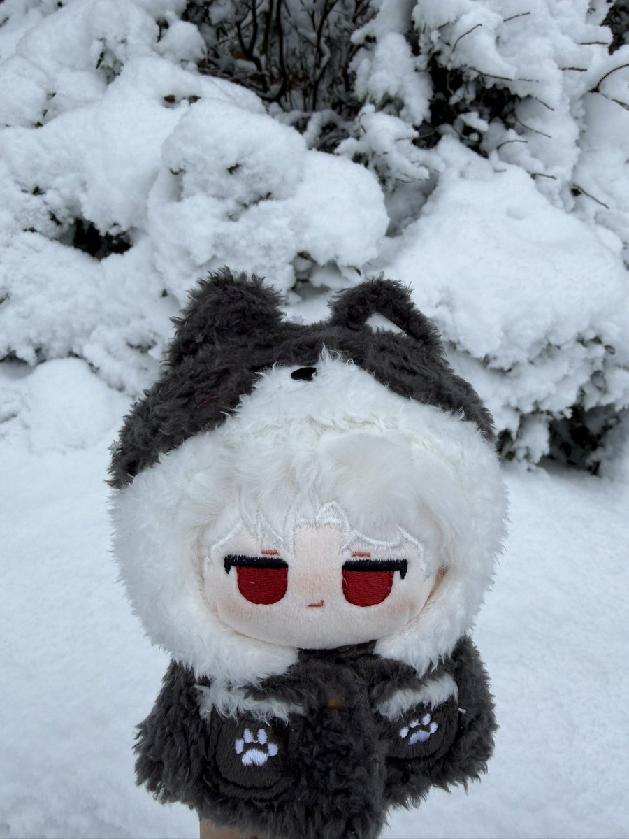 秦彻的神奇码农 tweet media