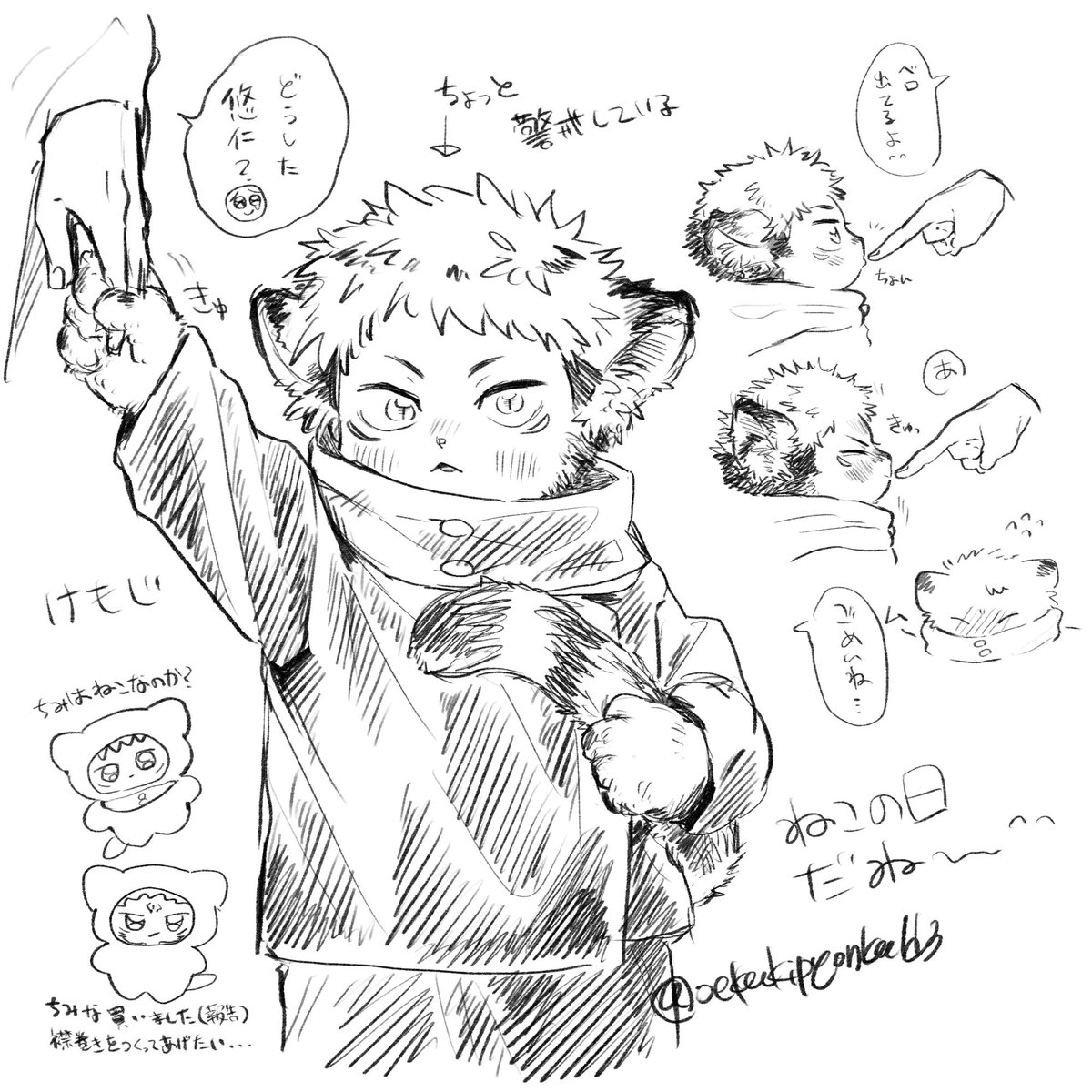 ぴょん子 tweet media