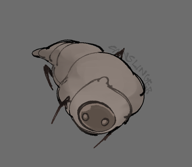 they make me feel very maternal
#silksong