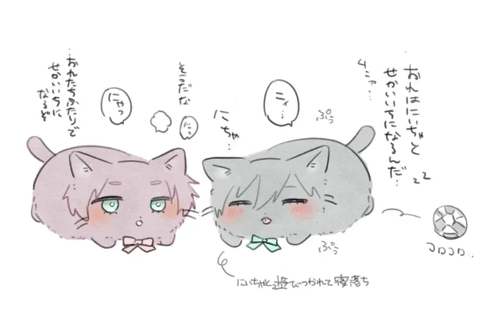🐱の日 seねことrnねこ まとめ

なかよし兄弟ねこと暮らすスローライフ 