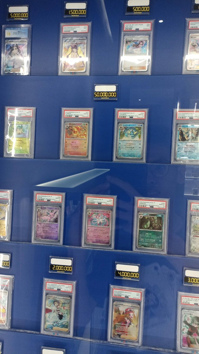 Btw kalian ada yg koleksi kartu beginian ga?? Gilak si 50 juta satu kartu woeeeee😵😵