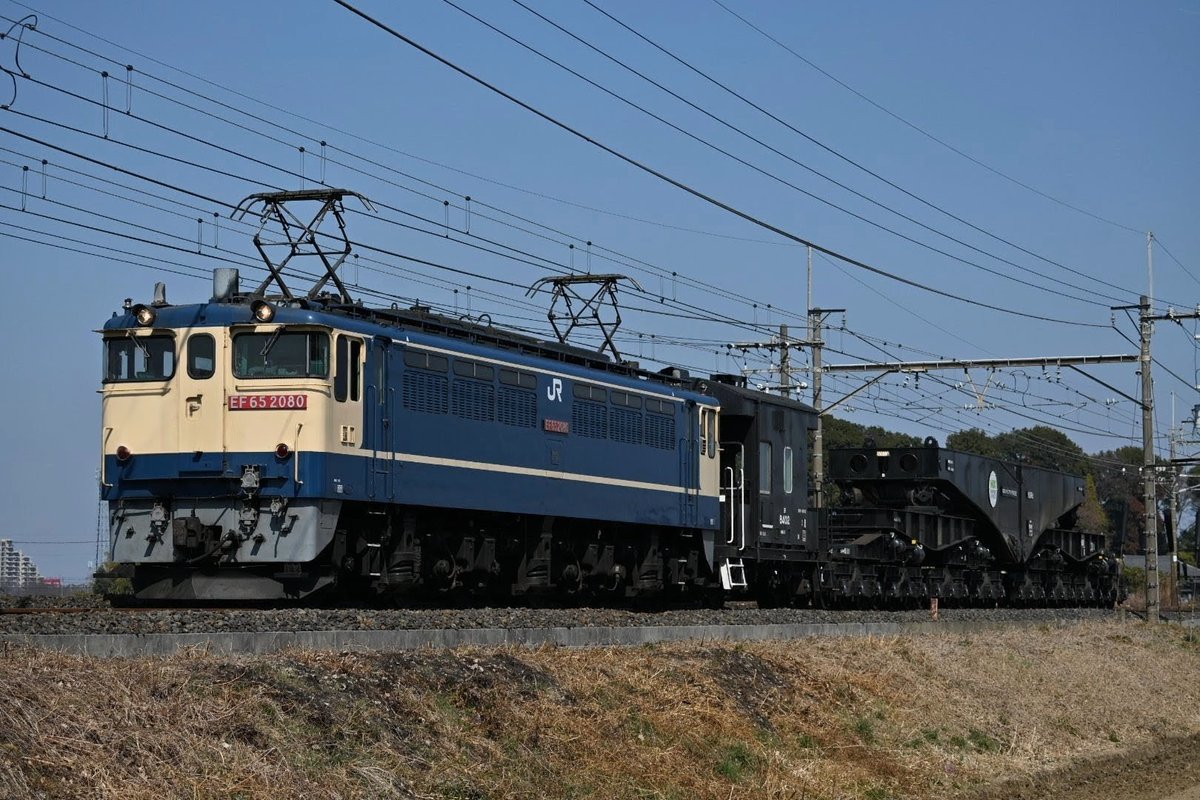 デーテンワン tweet media