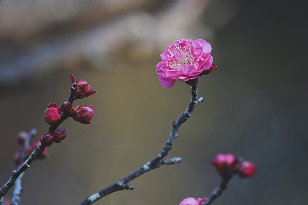 写真好きな人と繋がりたい #カメラ好きな人と繋がりたい #ファインダー