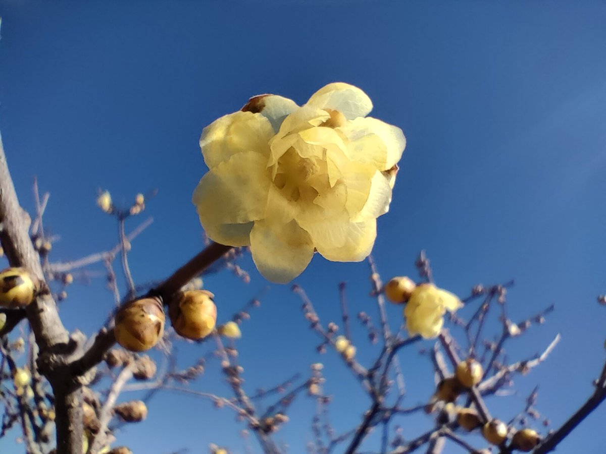 三戸亜耶 Aya Mito🎙 tweet media