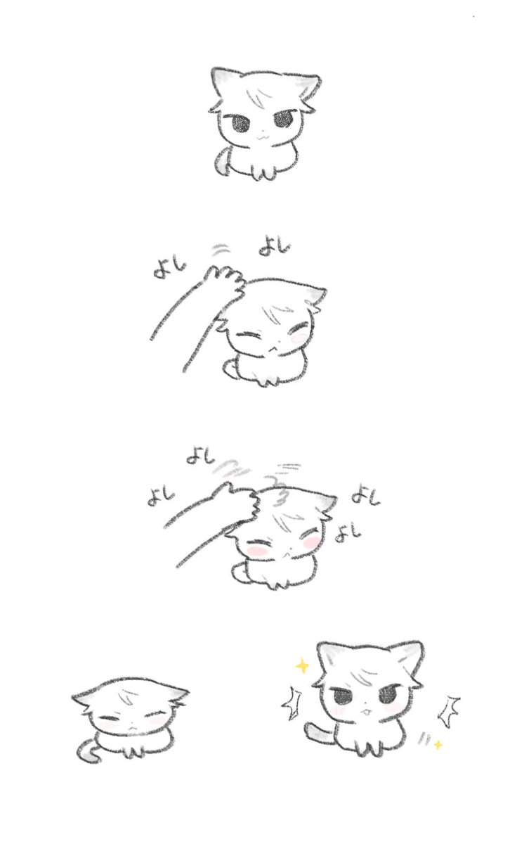 Post by HSU on X: ねこ🌟