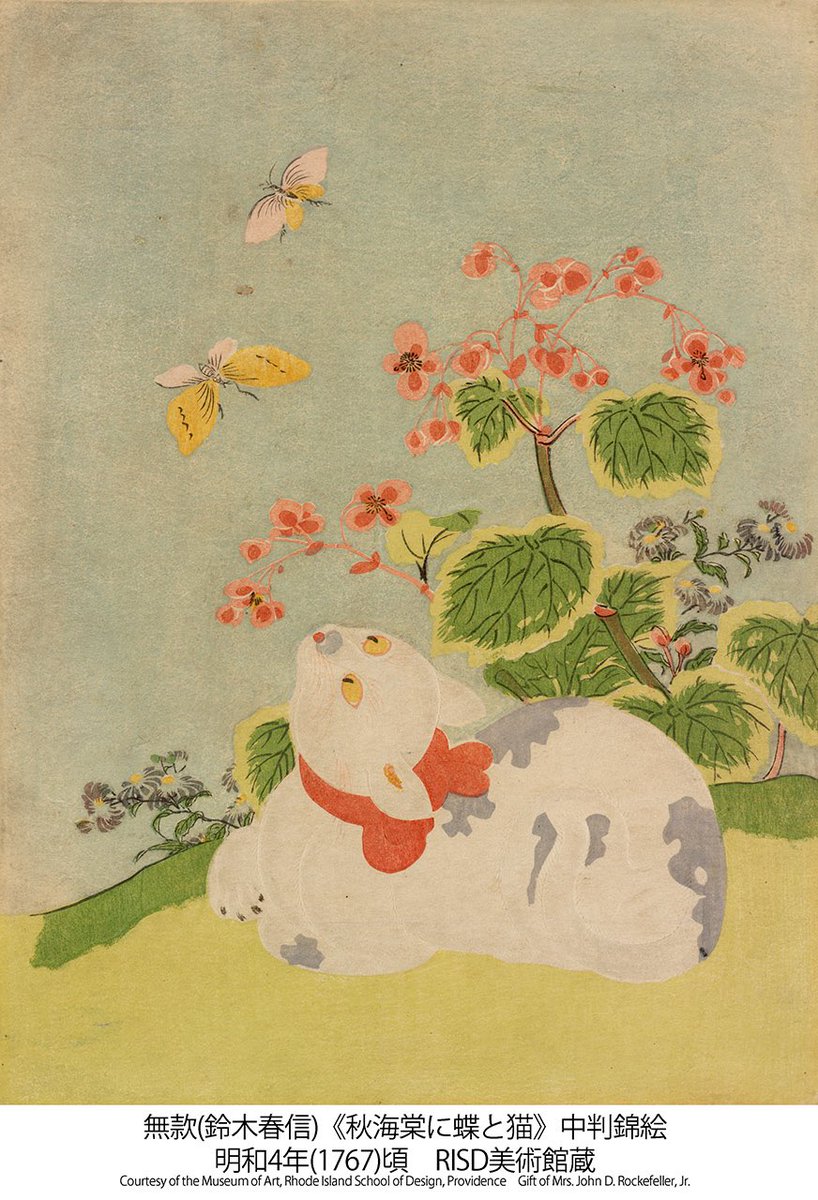 🐱本日2月22日は猫の日🐱香箱座りの猫が、ひらひらと舞う蝶を見上げて