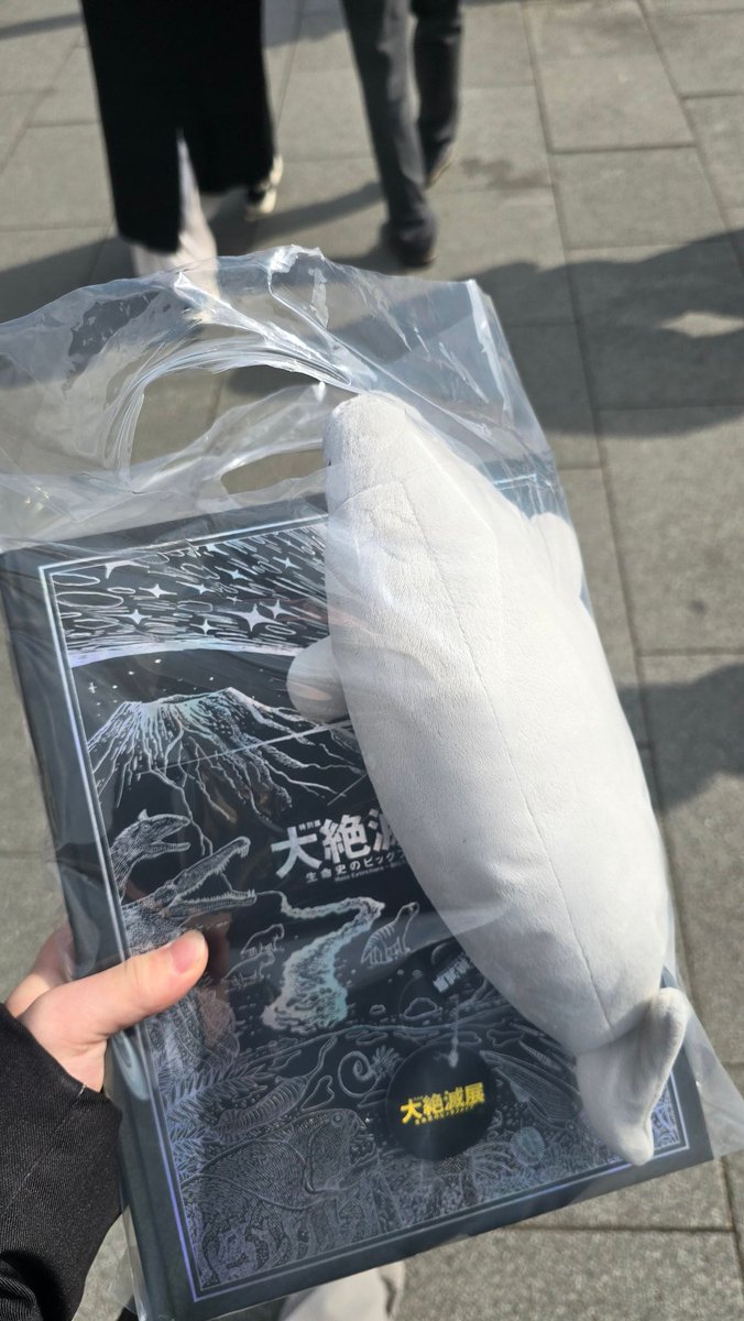 ぬいぐるみはねふわふわのお友だちなの…さみしくても一緒に寝てくれる