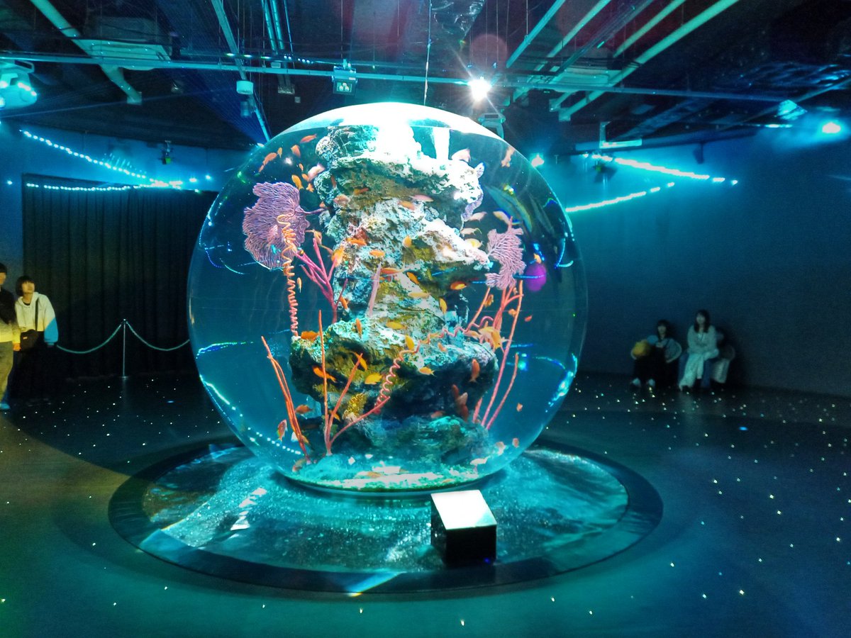 タケケ《作曲家》 tweet media