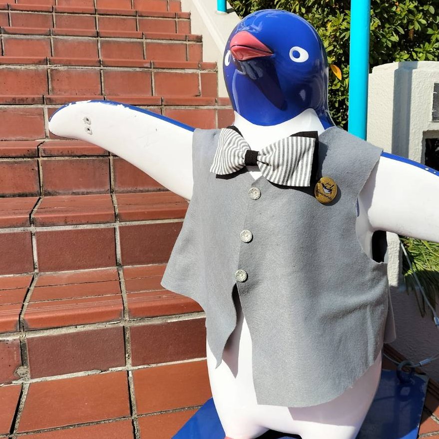 グラシエコンコルド tweet media