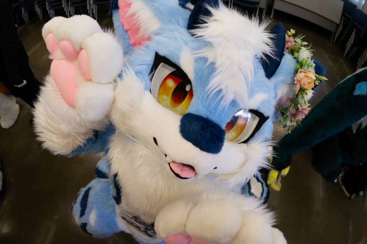 ロロ🐶💎 (@Rollo_0405) / Posts / X