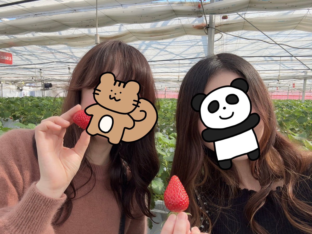 みっちゃん🌈 (@laxja01) / Posts / X