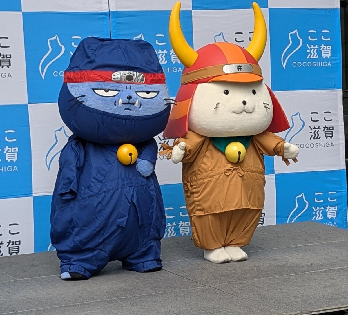本日は #猫の日 であり、#忍者の日 でもあるので、#ひこにゃん 殿と