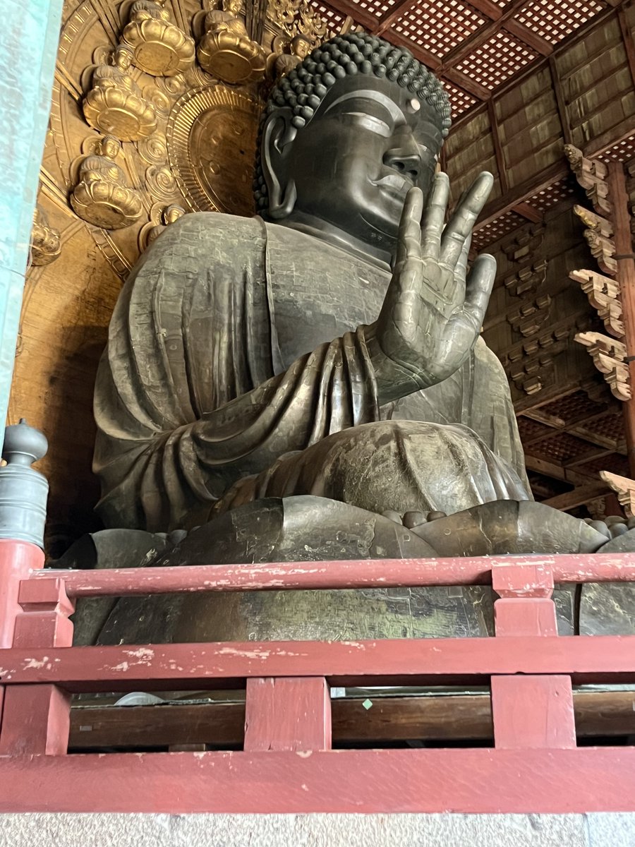 大仏様、デカいぃ！