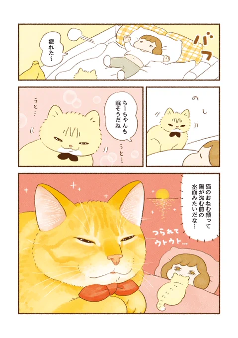 ⑤ねこねこ寝る子 