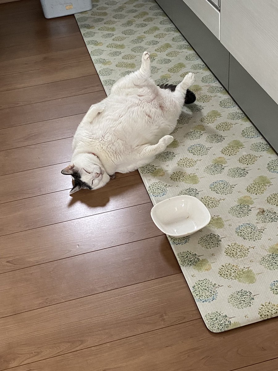 キッチンで酔っ払ってた