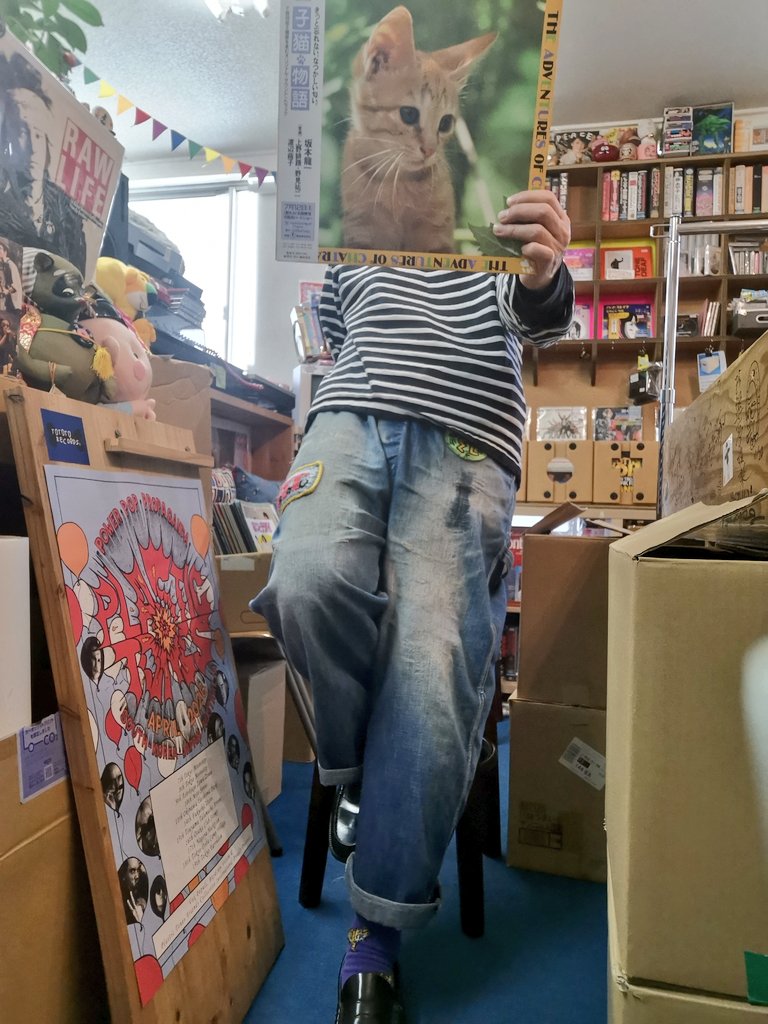 おはよーございまサンデー！ 222で、もちろんニャンニャンニャン