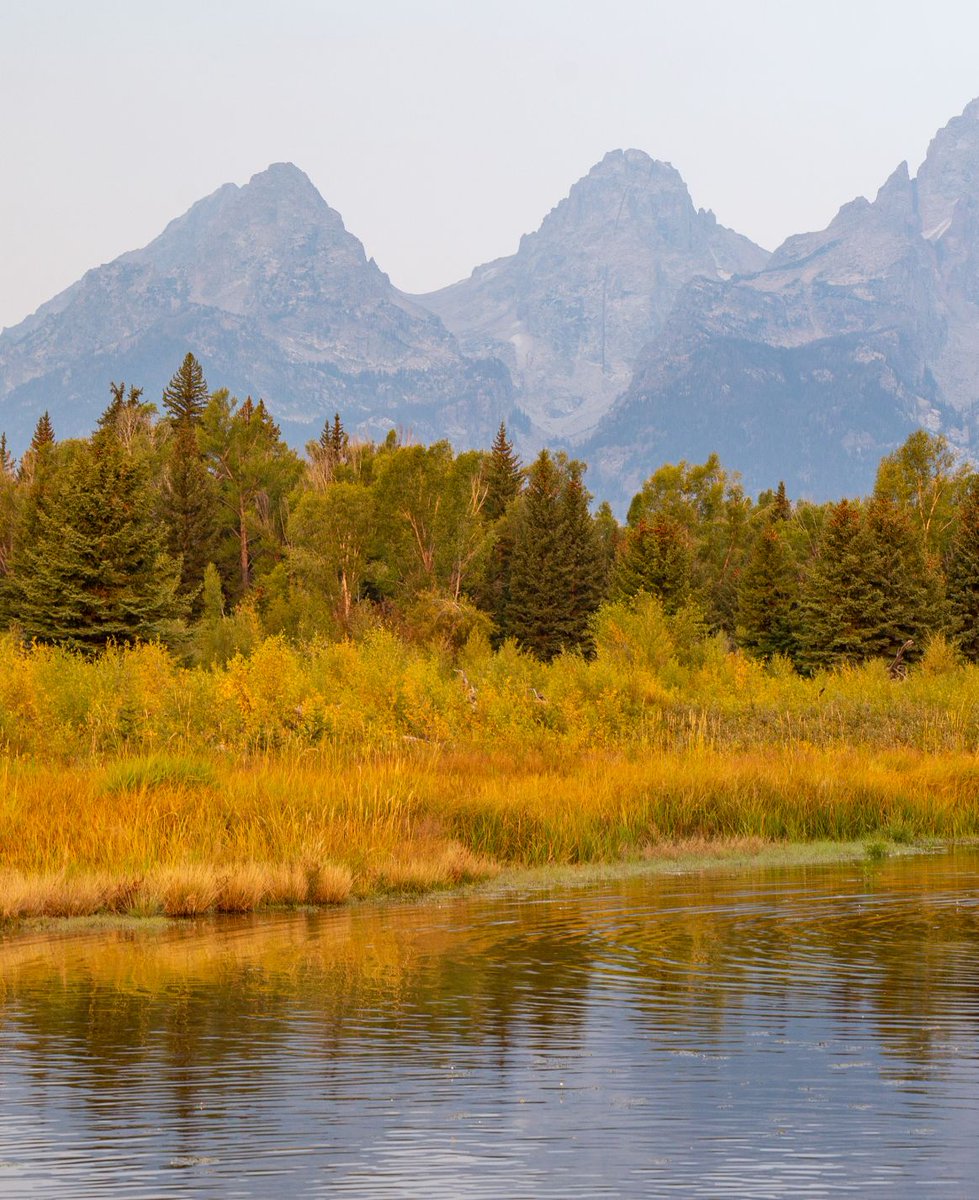 SoEarthen's tweet photo. Snake River, Grand Teton National Park, Wyoming  #BullMoose #Scenic https://t.co/ZMmNs9jnLO