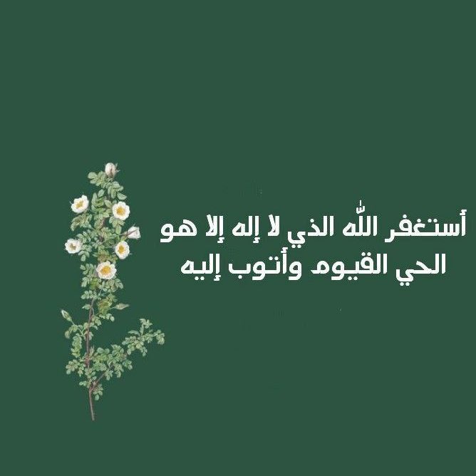 توفـا 🦅 tweet media
