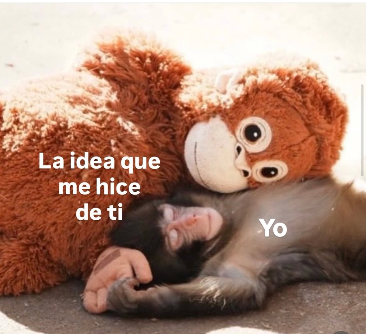 #SabadoDeRelacionesTóxicas