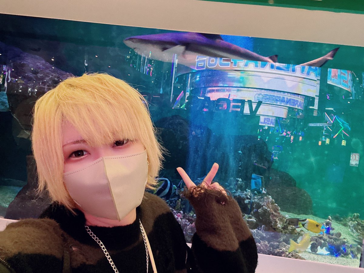 ぶーちゃん🐷📷 (@boochan_kmrmn) / Posts / X