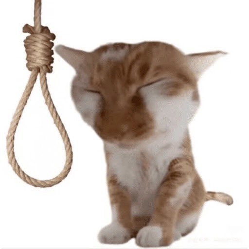 _wargf's tweet image. there is NO WAY im opening tiktok rn