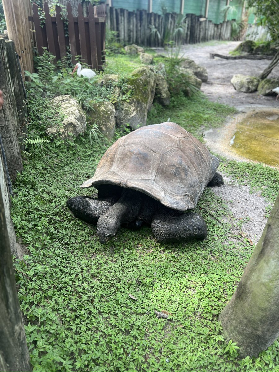 Nehemiah_'s tweet image. It’s 192 years old