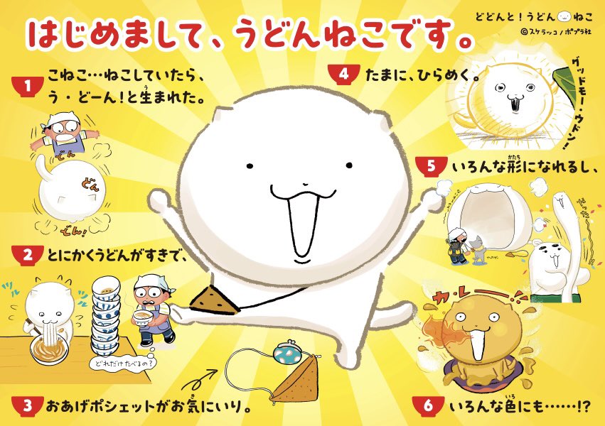 はじめましての方、はじめまして。
うどんねこです。

#猫の日