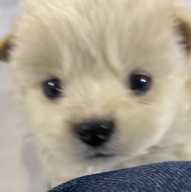 𝐏𝐚𝐲𝐮 #RichMan🎸 (@nnrxjnnn) on Twitter photo 