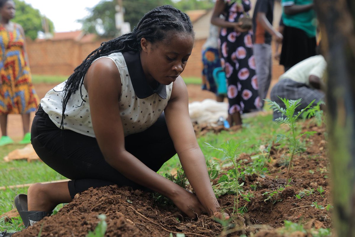 kihembosarah tweet media