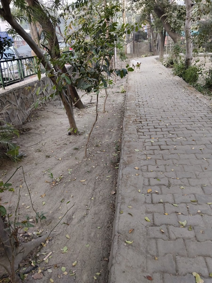 Swabhimani Aawaz🌐🇮🇳 tweet media