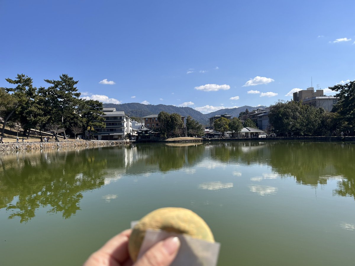 mocchi531's tweet photo. 2月とは思えない陽気に誘われて、久々に奈良公園に来た🦌
商店街のベトナム料理屋さんでフォーのランチを食べて、中谷堂のよもぎ餅を食べるいつものコース
中谷堂はタイミング悪く高速餅つきが見られなかったけど、高速客さばきがすごかった🤣
猿沢池で食べるお餅は、奈良に来たで！って感じる https://t.co/CXzrz2vU8Q