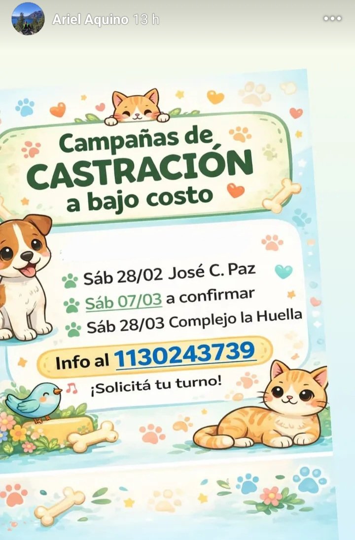 protegealanimal's tweet image. JOSÉ C. PAZ
#JOSÉCPAZ #JCP #LABASE #SANATILIO #PIÑERO #SOLYVERDE #PROVIDENCIA #ALBERDI #ZONANOROESTE #GRANBSAS #BSAS #CONURBANO 
MORENO
#MORENO #ÁLVAREZ #AGUARIBAY #CUARTELV #CUARTELQUINTO #COMPLEJOLAHUELLA #ANDERSON #NAMUNCURÁ #MILENIO #SANCHO #LUJÁN #TRUJUI #MALAVER2 #ZONAOESTE